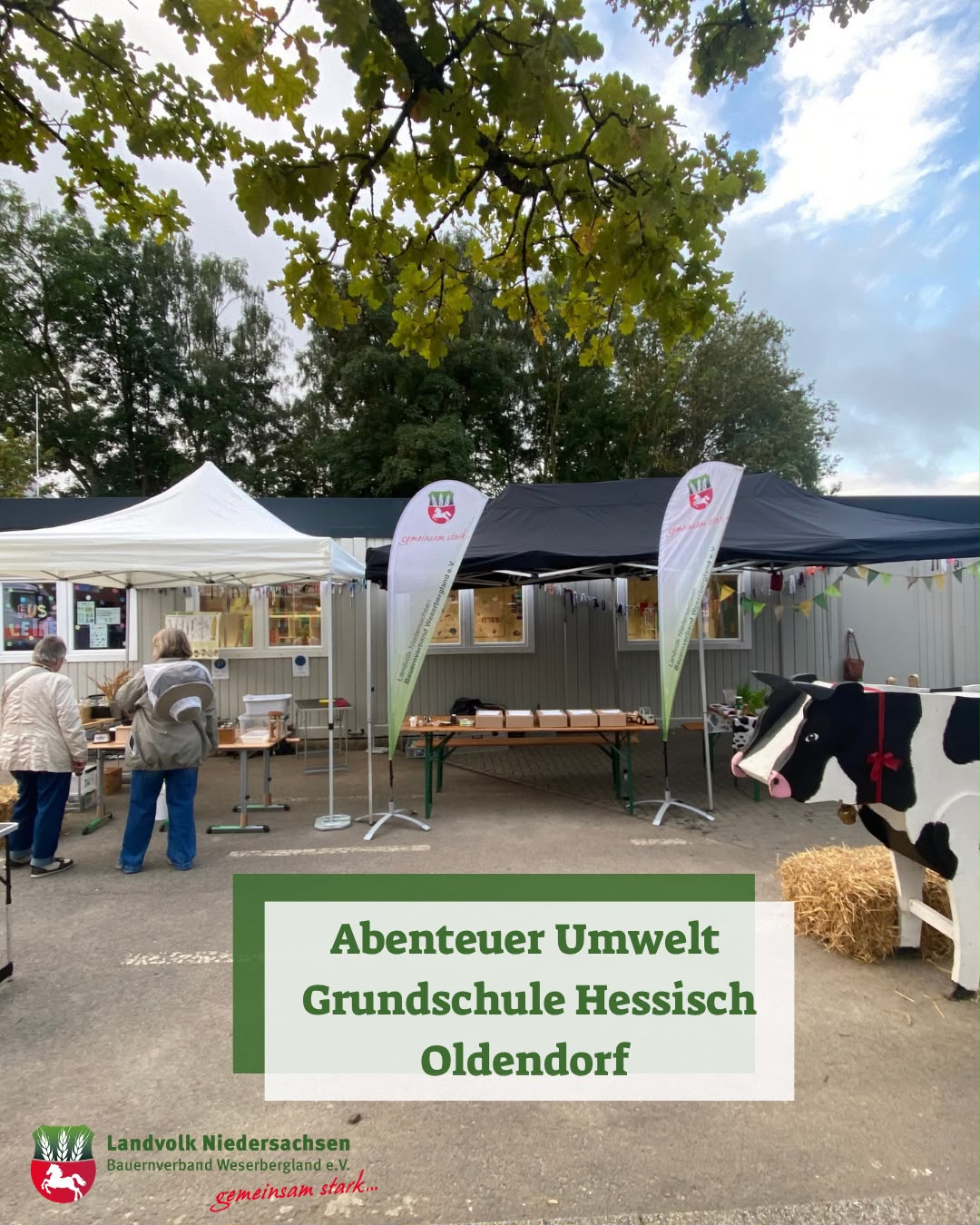Grundschule_am_Rosenbusch.jpeg